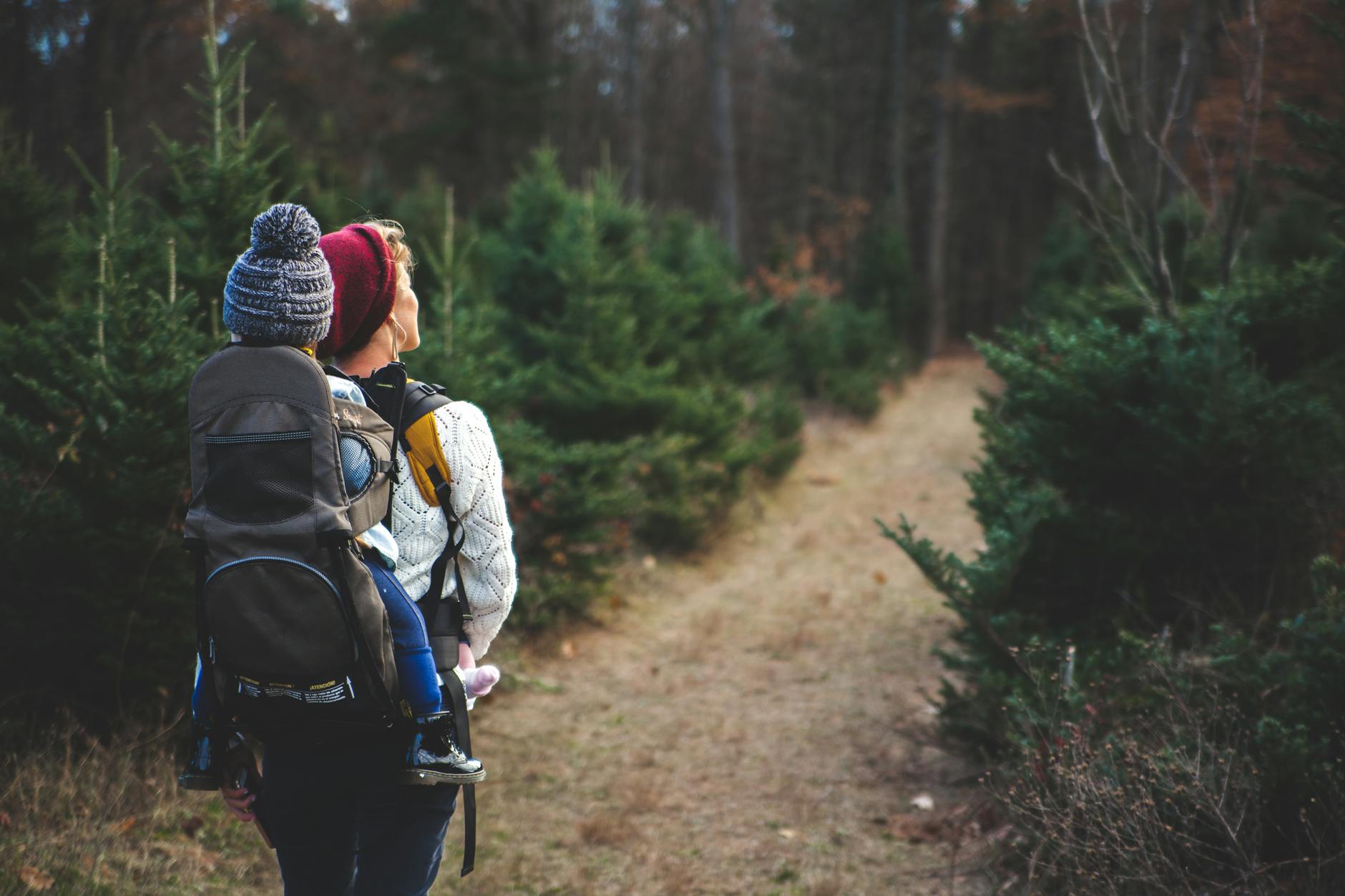 Best Hiking Water Bottle for Clean and Safe Drinking Water